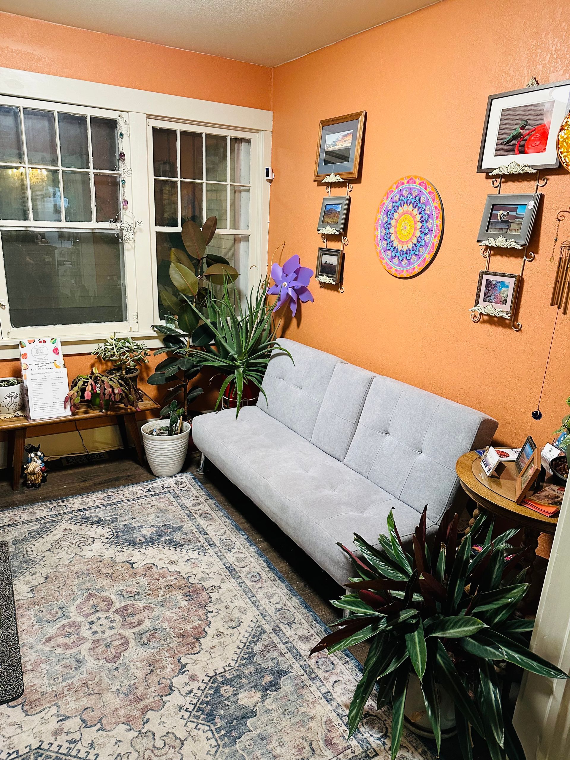 A living room with a couch , rug , plants and pictures on the wall.
